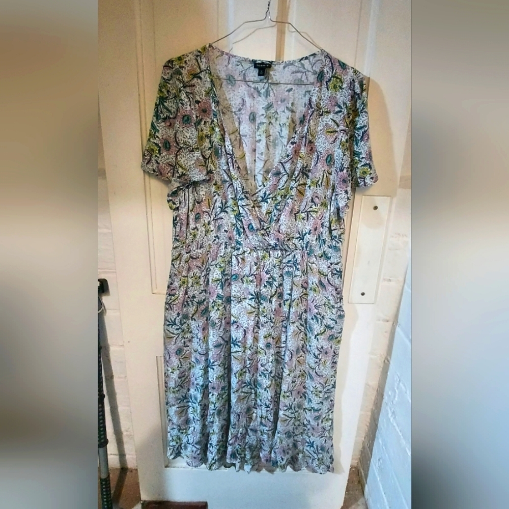Size 2X Torrid Dress